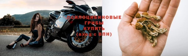 Альфа ПВП Покачи