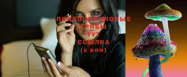 Альфа ПВП Покачи